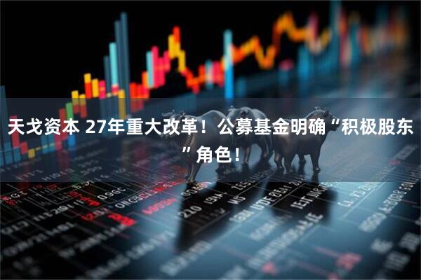 天戈资本 27年重大改革！公募基金明确“积极股东”角色！