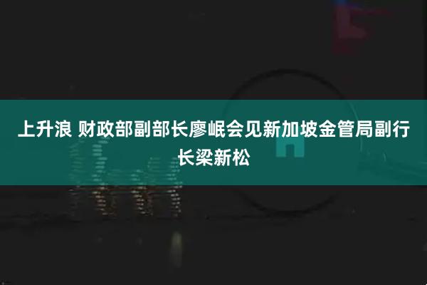 上升浪 财政部副部长廖岷会见新加坡金管局副行长梁新松