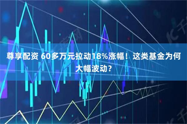 尊享配资 60多万元拉动18%涨幅！这类基金为何大幅波动？