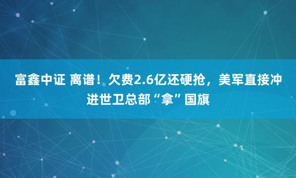 富鑫中证 离谱！欠费2.6亿还硬抢，美军直接冲进世卫总部“拿”国旗