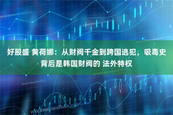 好股盛 黄荷娜：从财阀千金到跨国逃犯，吸毒史背后是韩国财阀的 法外特权